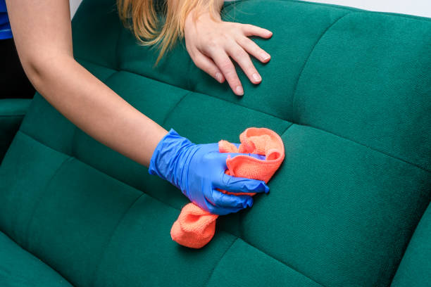 Professional Upholstery Cleaning Services In Melbourne